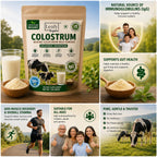 Leafy Organic Calostro en Polvo Puro 100% - Suplemento para la Salud Intestinal y el Sistema Inmunológico, 50% IgG, Sin Sabor (100g)