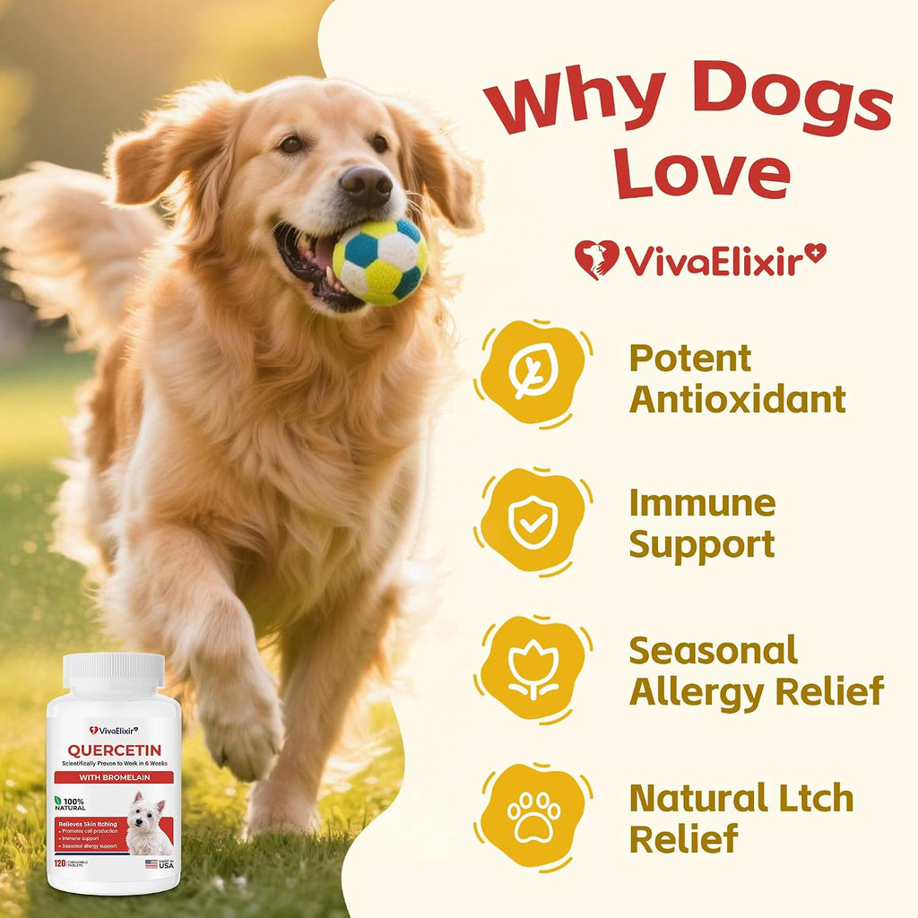 Tabletas de Quercetina y Bromelina para Perros — para Alergias Cutáneas, Dermatitis Atópica, Infecciones de Oído e Inflamación Articular — Apoyo Inmunológico y Antiinflamatorio — Formulado por Veterinarios