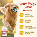Tabletas de Quercetina y Bromelina para Perros — para Alergias Cutáneas, Dermatitis Atópica, Infecciones de Oído e Inflamación Articular — Apoyo Inmunológico y Antiinflamatorio — Formulado por Veterinarios