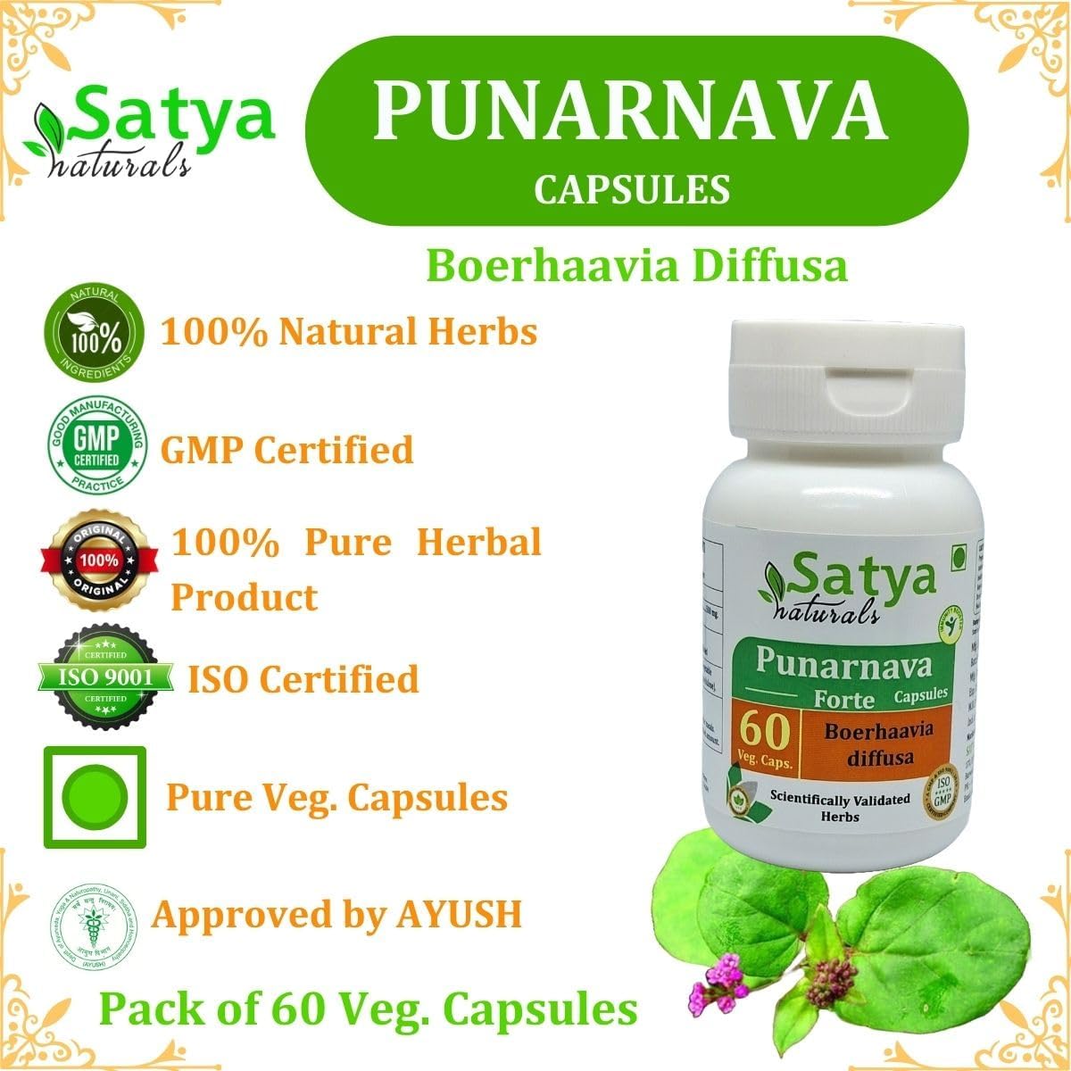 Punarnava Forte Cápsula 500 mg - 60 Cápsulas Vegetarianas | Extracto de Punarnava (Boerhaavia Diffusa) 10:1