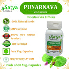 Punarnava Forte Cápsulas 500 mg - 60 Cápsulas Vegetales (Pack de 4)