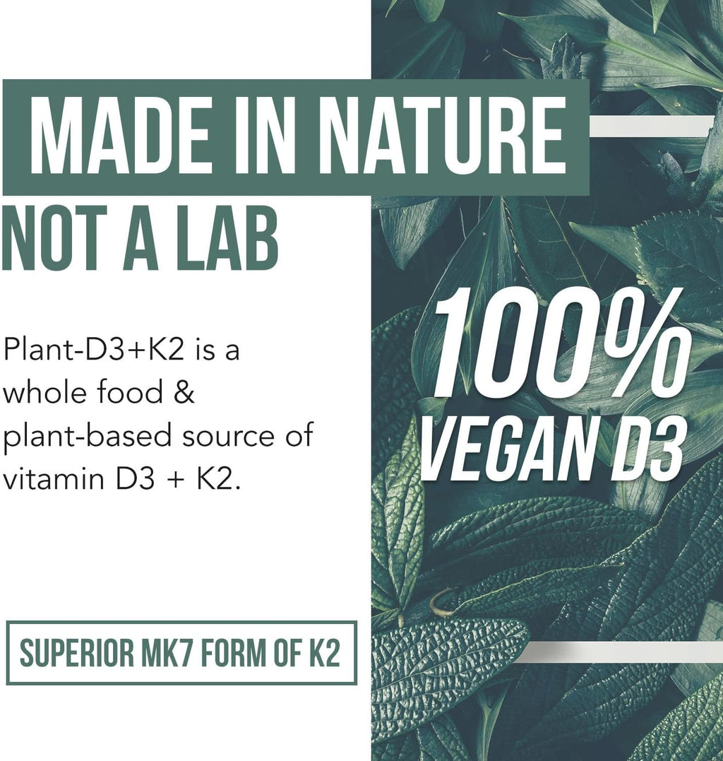 Organic Plant D3 + K2 | 5000 UI D3 + 120 mcg K2 All-Trans MK7 de MenaQ7® - 100% Alimento Integral, Crudo y Vegano | Prebiótico y Superfood Complex – D3 de Algas Orgánicas (60 Cápsulas)