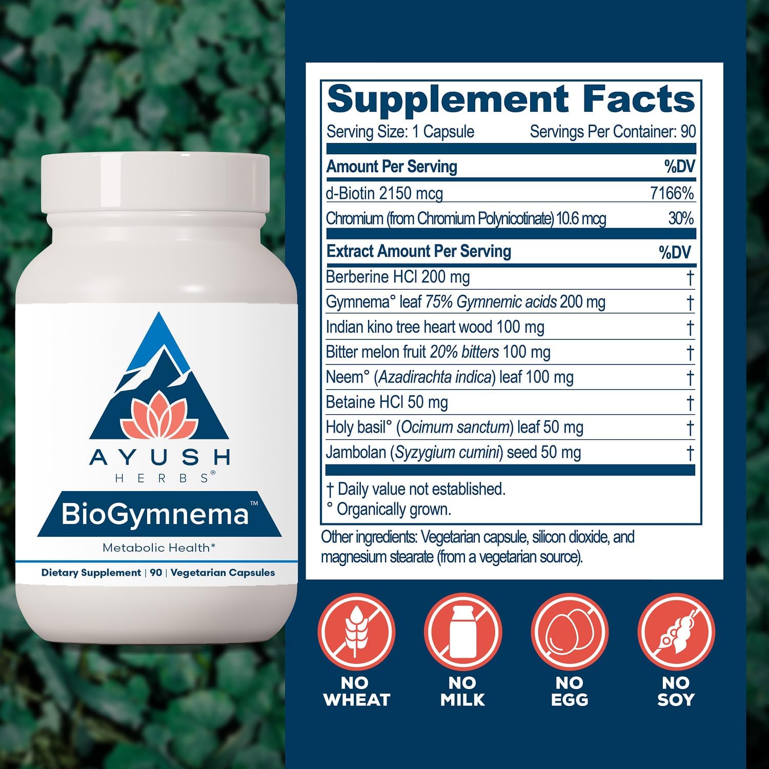 Ayush Herbs BioGymnema - Suplemento metabólico con vitaminas y hierbas, 90 porciones