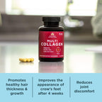Ancient Nutrition Multi Colágeno Hidrolizado – 45 Cápsulas