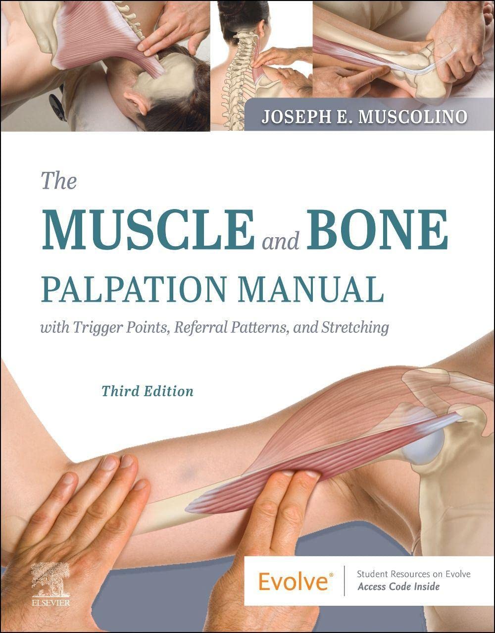 Manual de Palpación de Músculos y Huesos con Puntos Gatillo, Patrones de Remisión y Estiramientos