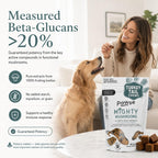 Pawse Mighty Mushroom Chews Supplement for Dogs & Cats | Blend of Turkey Tail, Reishi, Chaga, Maitake & Shiitake | for Immune System, Lumps & Bumps, Gut Health & Skin Support | 60 Chews