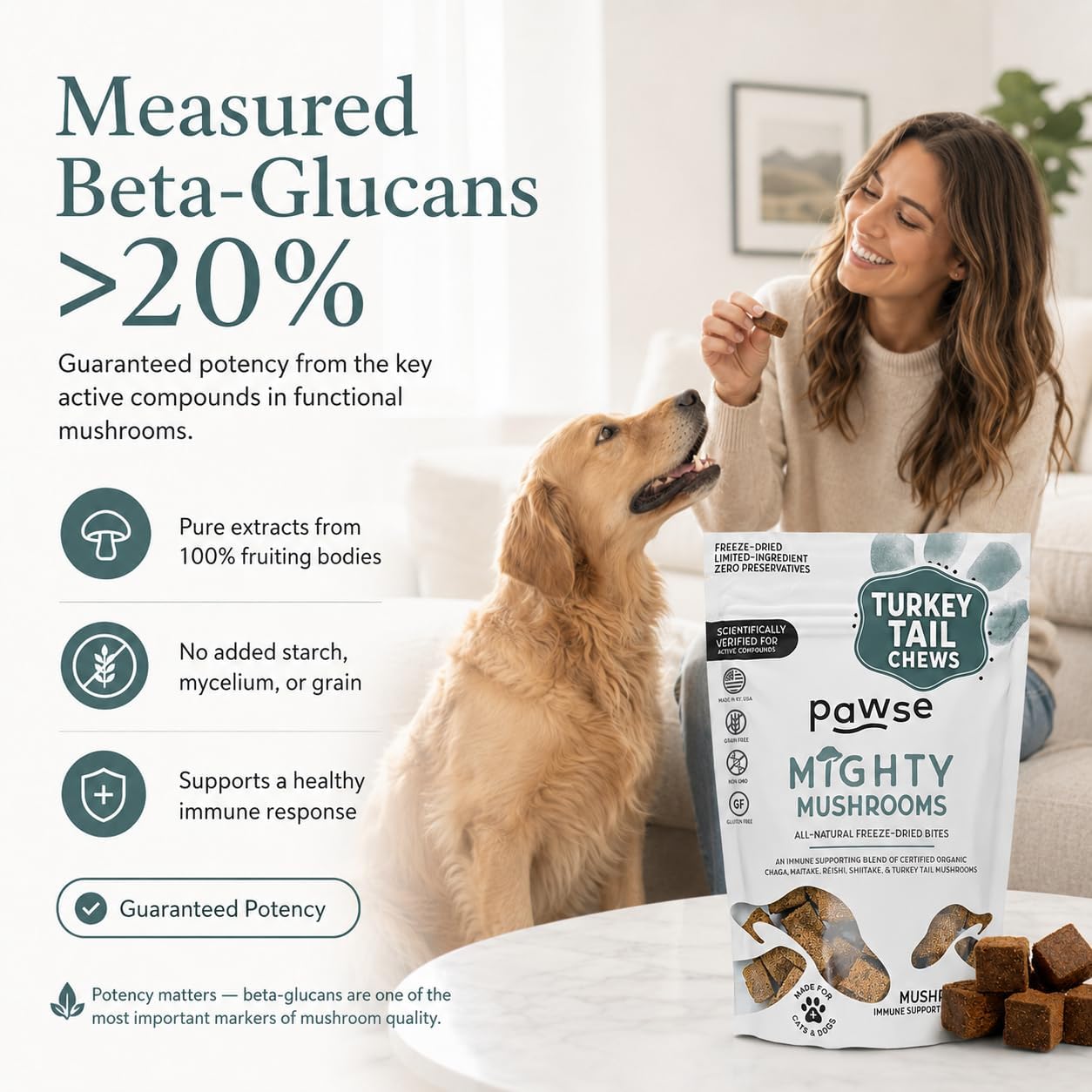 Pawse Mighty Mushroom Chews Supplement for Dogs & Cats | Blend of Turkey Tail, Reishi, Chaga, Maitake & Shiitake | for Immune System, Lumps & Bumps, Gut Health & Skin Support | 60 Chews