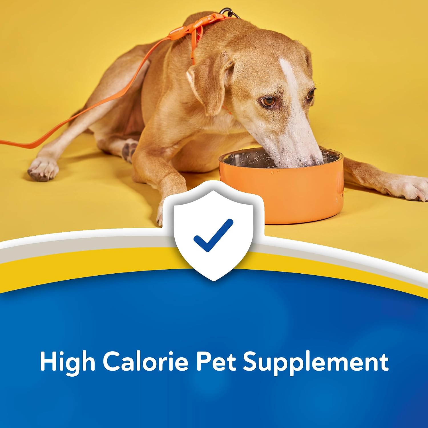 Doc Roy’s Forti Cal Suplemento Calórico para Perros y Gatos, 454g