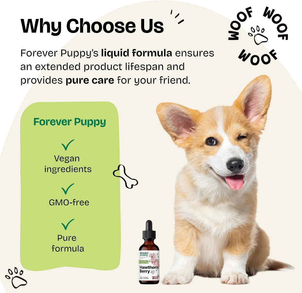 Forever Puppy Gotas de Espino Blanco para Perros - Tintura Antioxidante Líquida para la Salud Cardíaca - 2 oz