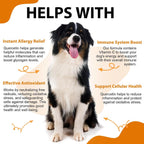 Quercetina para Perros - Alivio de Alergias - Gotas Líquidas Suplemento Herbal - Refuerzo Inmunológico, Antioxidante - 60 ml