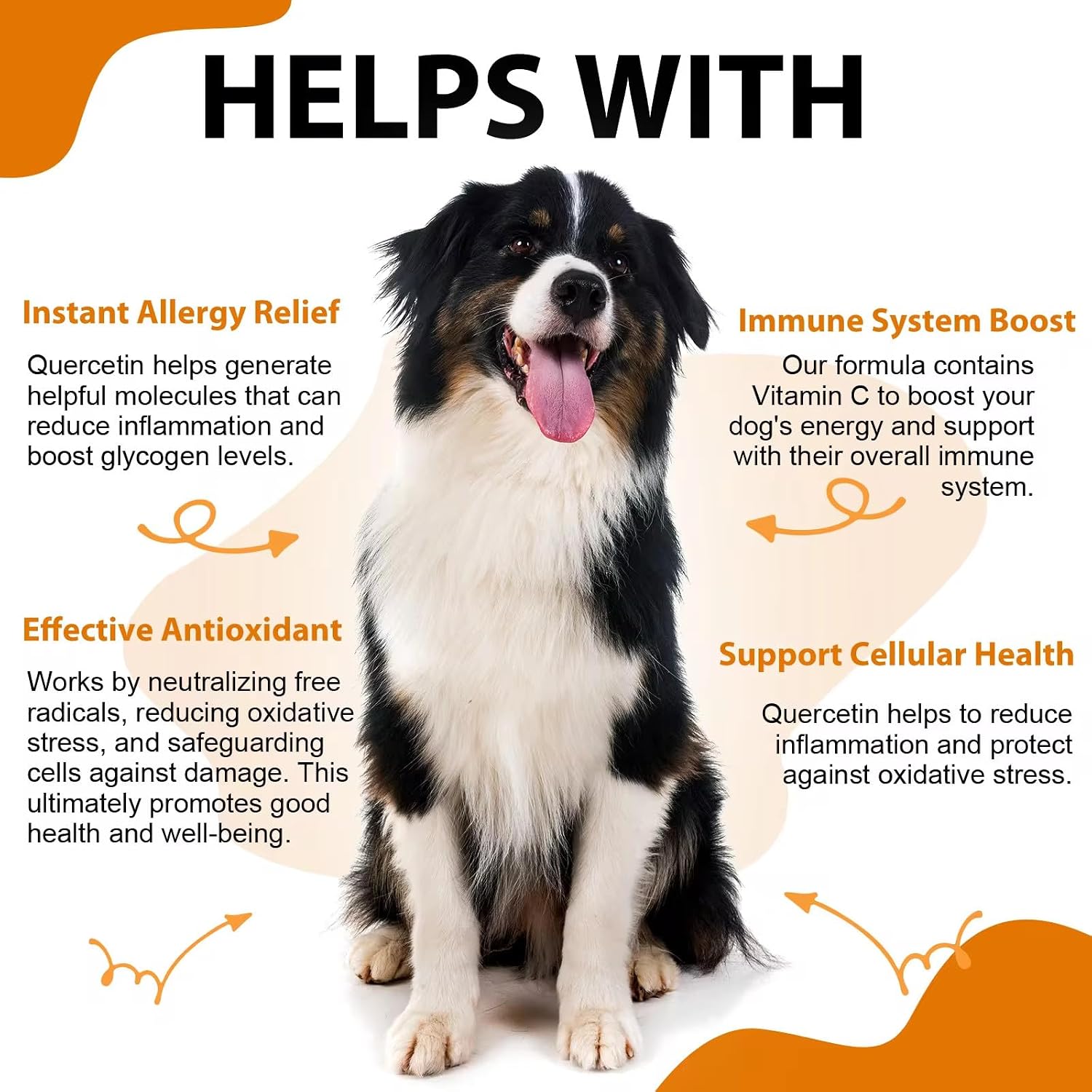 Quercetina para Perros - Alivio de Alergias - Gotas Líquidas Suplemento Herbal - Refuerzo Inmunológico, Antioxidante - 60 ml