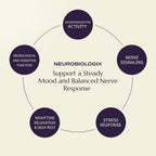 Neurobiologix Neuro Calm & Rebalance - Complejo de L-teanina, Magnesio, Zinc y Kava Kava - 60 Cápsulas