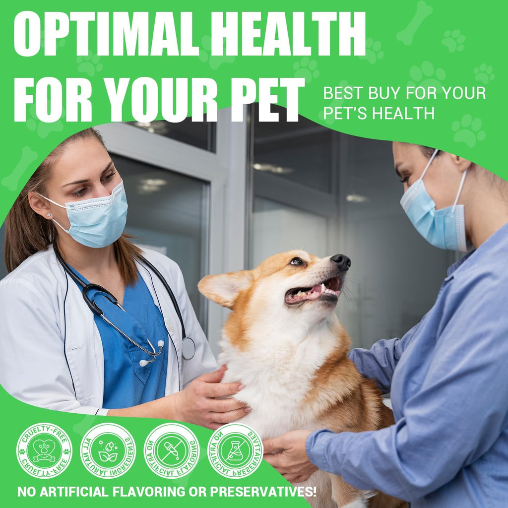 Cardo Mariano para Perros - Apoyo Hepático y Renal, con Aceite de Salmón de Alaska y Cúrcuma - Complemento Herbario Formulado por Veterinarios (2 Envases de 59 ml)