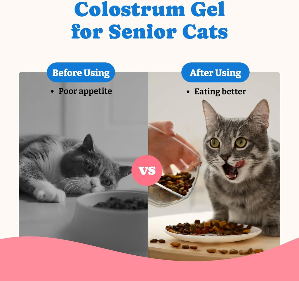 Gel Nutricional con Calostro Bovino para Perros y Gatos - Suplemento de Alto Contenido Calórico