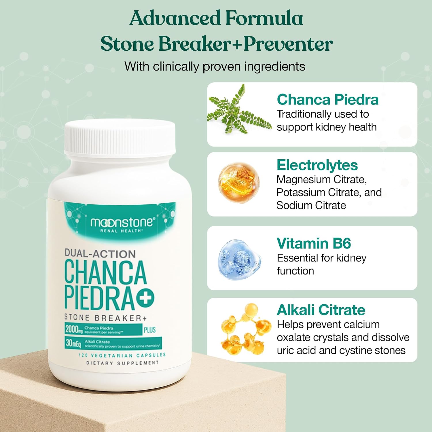 Chanca Piedra Stone Breaker - Complemento para el Apoyo Renal y Urinario (120 Cápsulas Veganas)