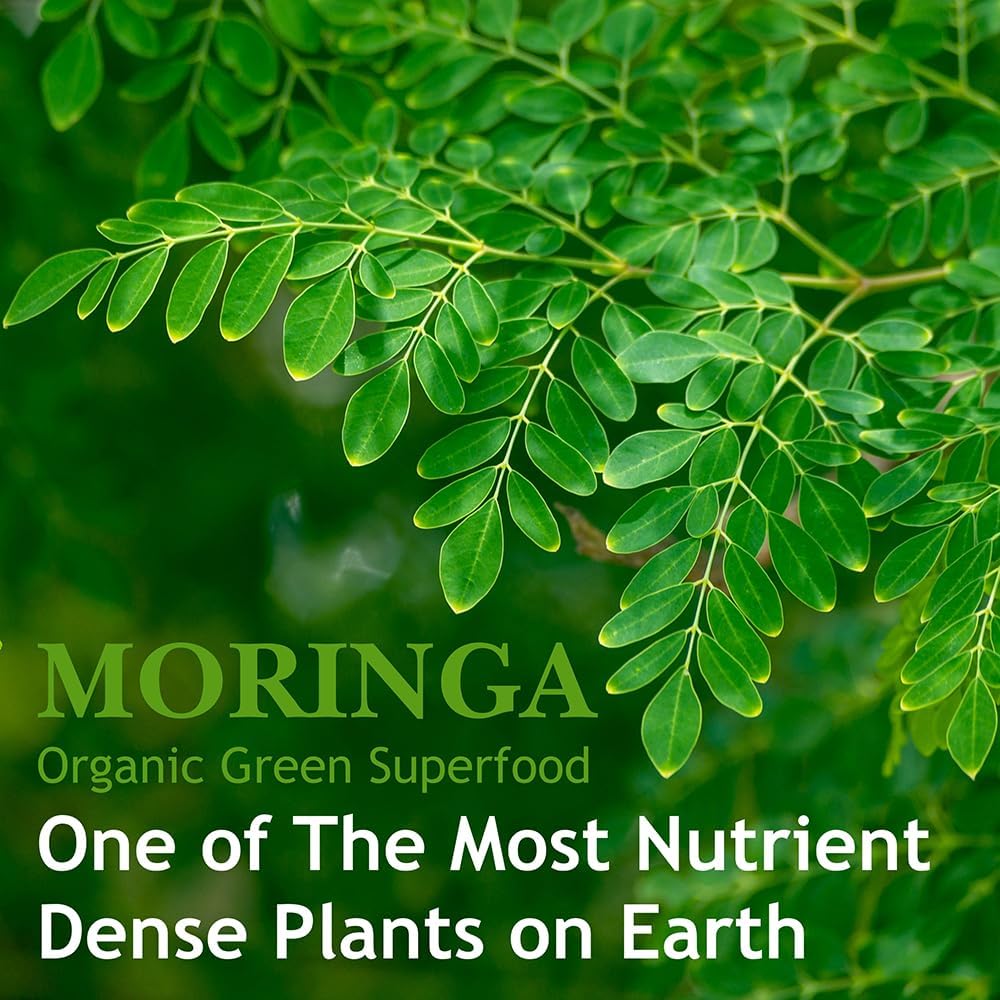 Hebhac Herbs Cápsulas de Moringa Ecológica 120 Cápsulas 1000mg
