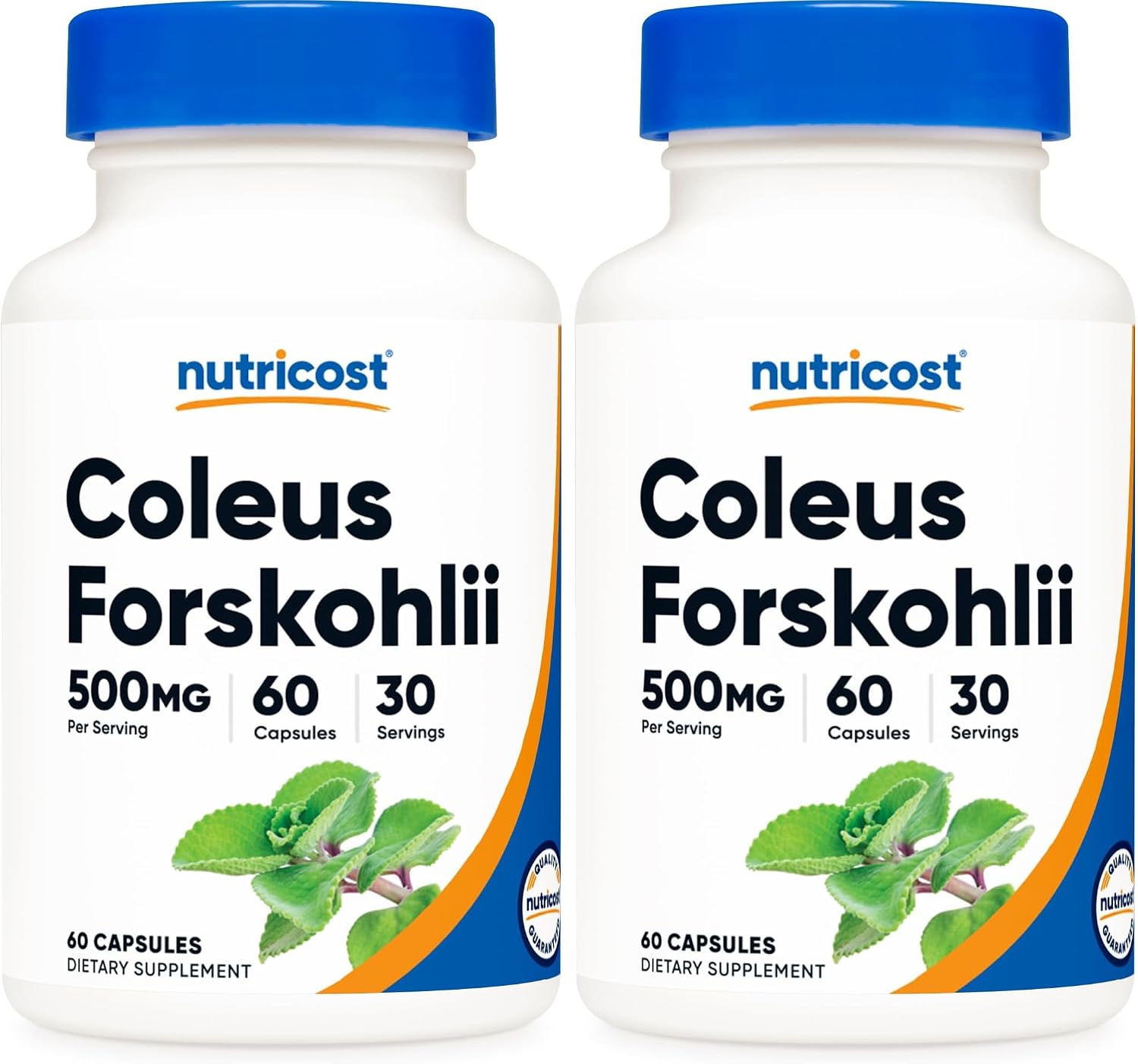 Nutricost Coleus Forskohlii 500mg, 60 Capsules - Maximum Strength Formula