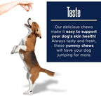 Healthy Pup Suplementos de Aceite de Pescado para Perros - 180 Golosinas Masticables - Omega 3, EPA, DHA, Biotina y Vitamina E - Piel y Pelaje Saludables