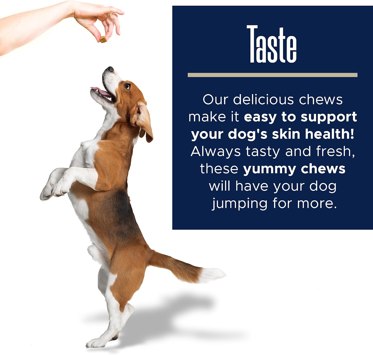 Healthy Pup Suplementos de Aceite de Pescado para Perros - 180 Golosinas Masticables - Omega 3, EPA, DHA, Biotina y Vitamina E - Piel y Pelaje Saludables