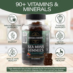 BUCKLEBURY Gominolas de Sea Moss Irlandés con Bladderwrack y Burdock Root - Complemento Alimenticio Vegano - 60 Gominolas