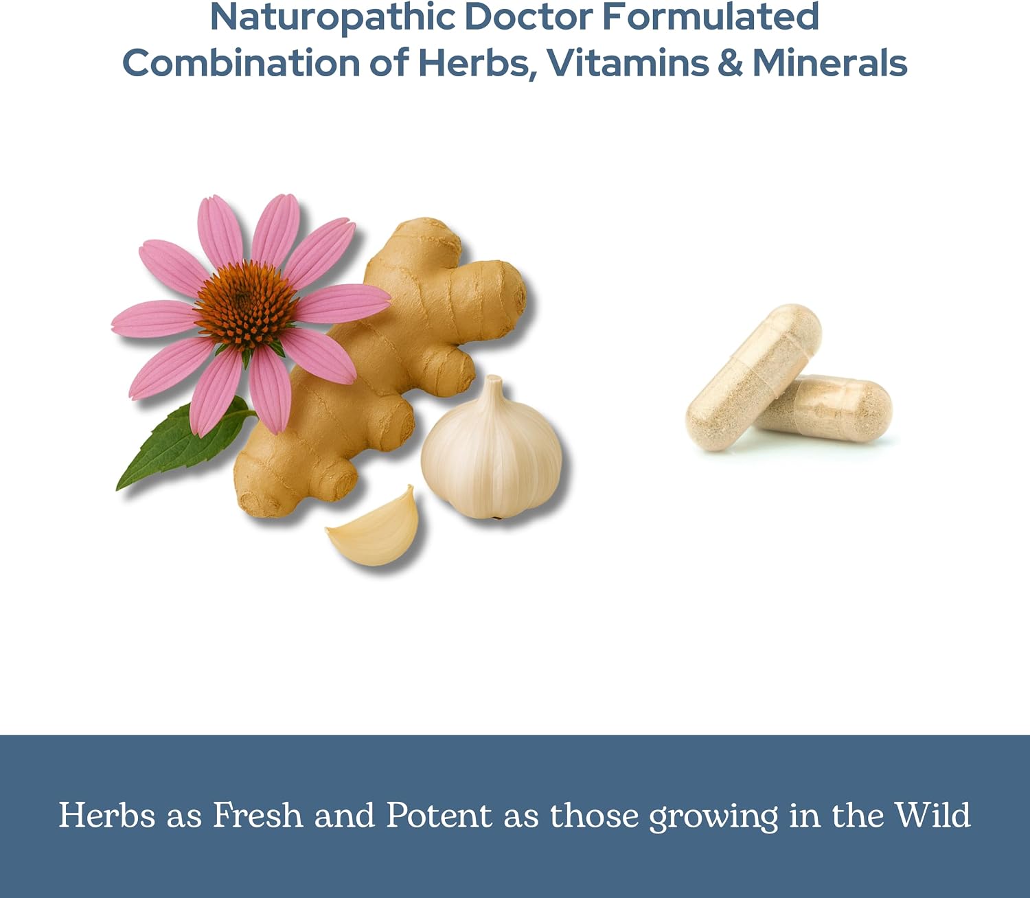 Eclectic Herb Vitabiotic Orgánico - Cápsulas de Apoyo Inmunológico (150 cápsulas, 750 mg)