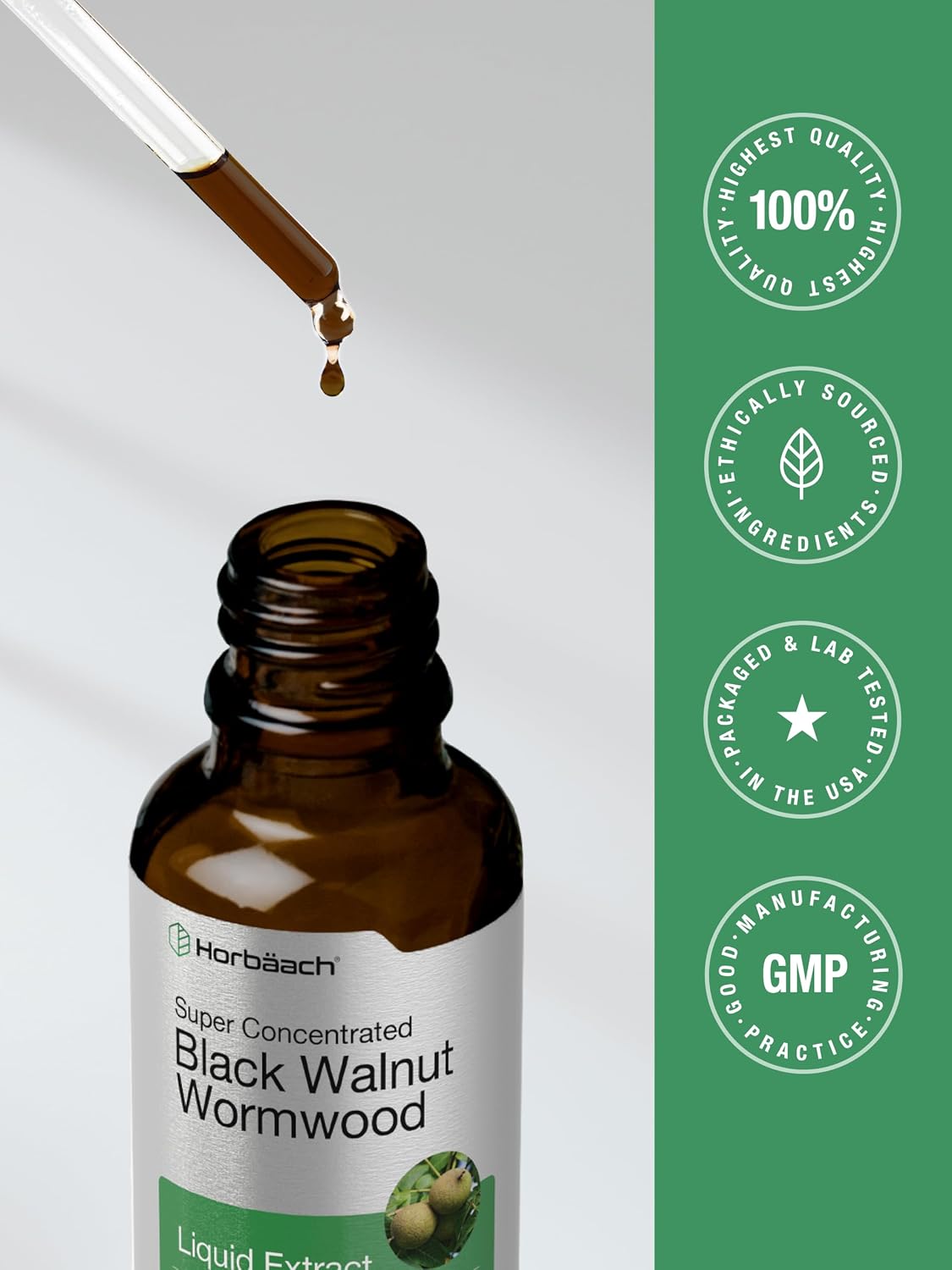 Horbäach Black Walnut Hull and Wormwood Extract Tincture – 2 fl oz – Alcohol Free Liquid – Vegetarian, Non-GMO & Gluten Free Supplement