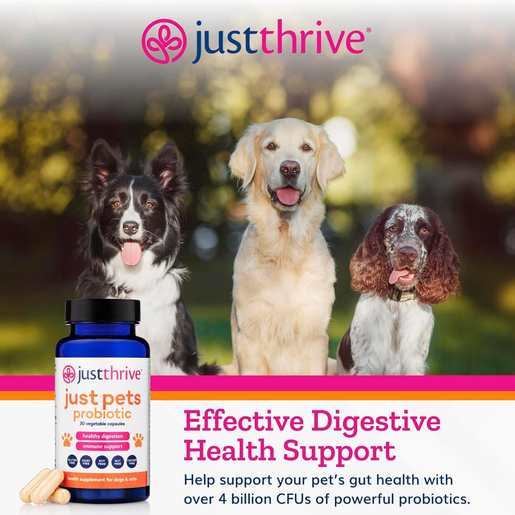 Just Thrive Just Pets Probiótico para Perros y Gatos - 4 Mil Millones de UFC - 30 Cápsulas