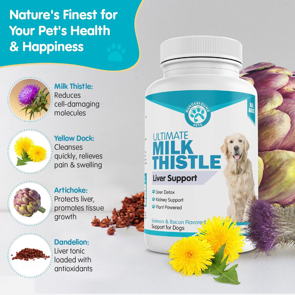 Wanderfound Pets Cardo Mariano para Perros – Sabor Salmón y Bacon – 100 Comprimidos Masticables