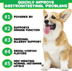 Probióticos para Perros con Omega-3 y 6 - Masticables Digestivos - 120 unidades