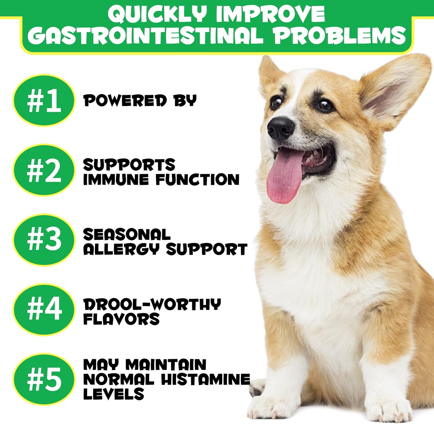 Probióticos para Perros con Omega-3 y 6 - Masticables Digestivos - 120 unidades