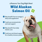 Pet Wellbeing Aceite de Salmón Salvaje de Alaska para Perros - Omega 3 EPA y DHA - 473 ml con Dosificador