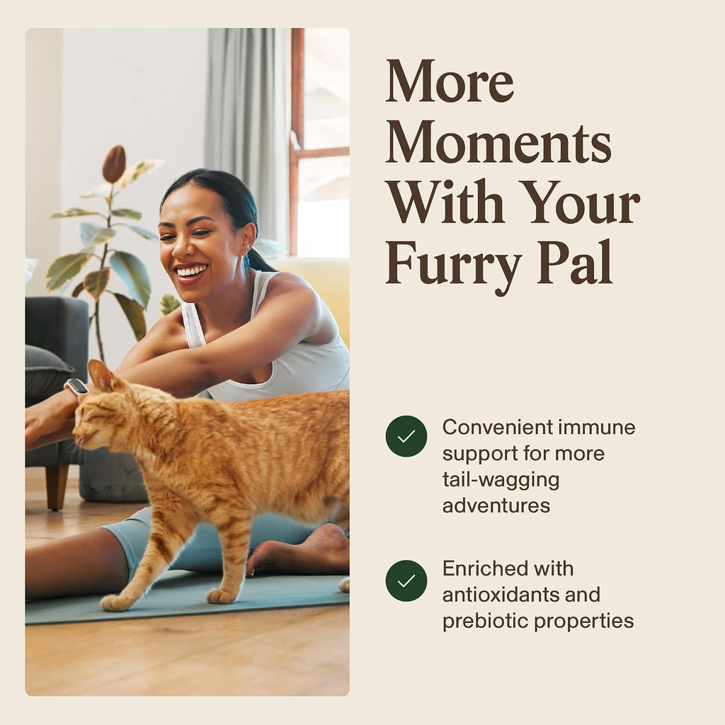 Real Mushrooms Turkey Tail para Mascotas – Suplemento Orgánico para Perros y Gatos – 90 Cápsulas