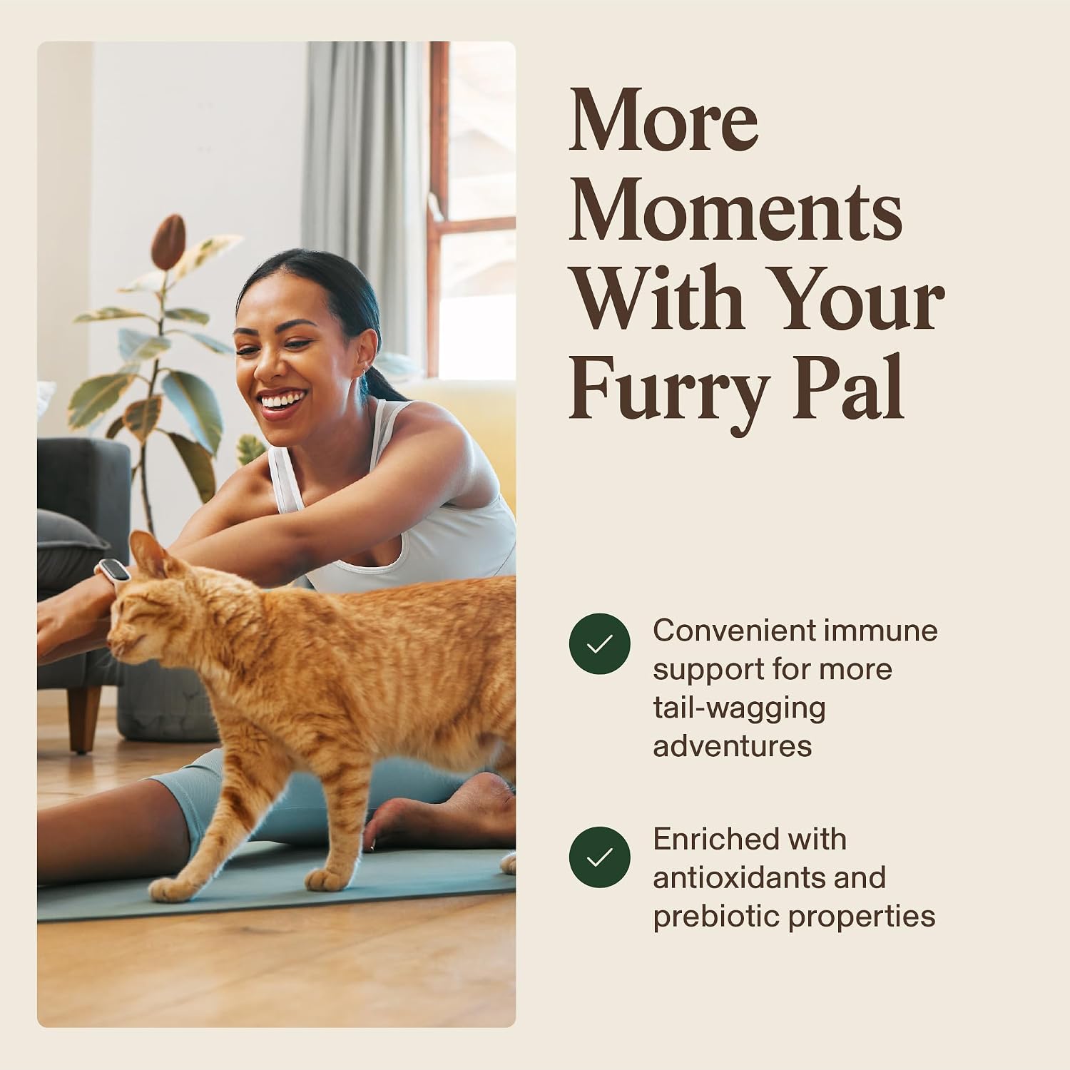 Real Mushrooms Turkey Tail para Mascotas – Suplemento Orgánico para Perros y Gatos – 90 Cápsulas
