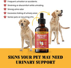 Tratamiento Natural para Infección Urinaria en Perros y Gatos – Gotas de Arándano para Riñón y Vejiga