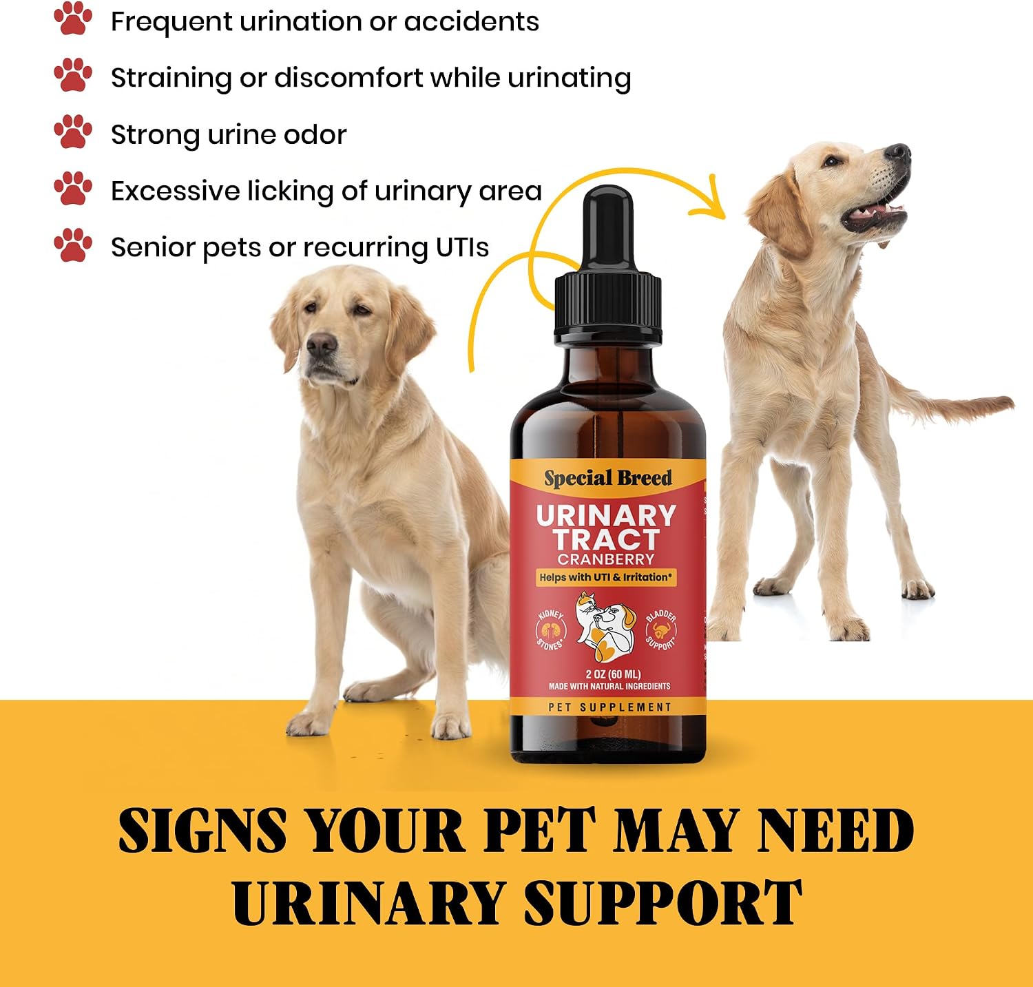 Tratamiento Natural para Infección Urinaria en Perros y Gatos – Gotas de Arándano para Riñón y Vejiga