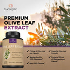 Extracto de Hoja de Olivo Premium – Estandarizado al 20% de Oleuropeína – 750mg por Cápsula – 120 Cápsulas