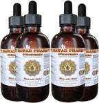 Hawaii Pharm Extracto Líquido de Gynostemma, Gynostemma Pentaphyllum, Tintura, 2x118 ml