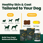 VetriScience Derma Strength Masticables para Piel y Pelo de Perros, con Aceite de Salmón, 70 unidades