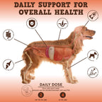 Jack&Pup Multivitamínico para Perros - Bark Buddies Multi-Buddy - Complemento masticable - 60 unidades