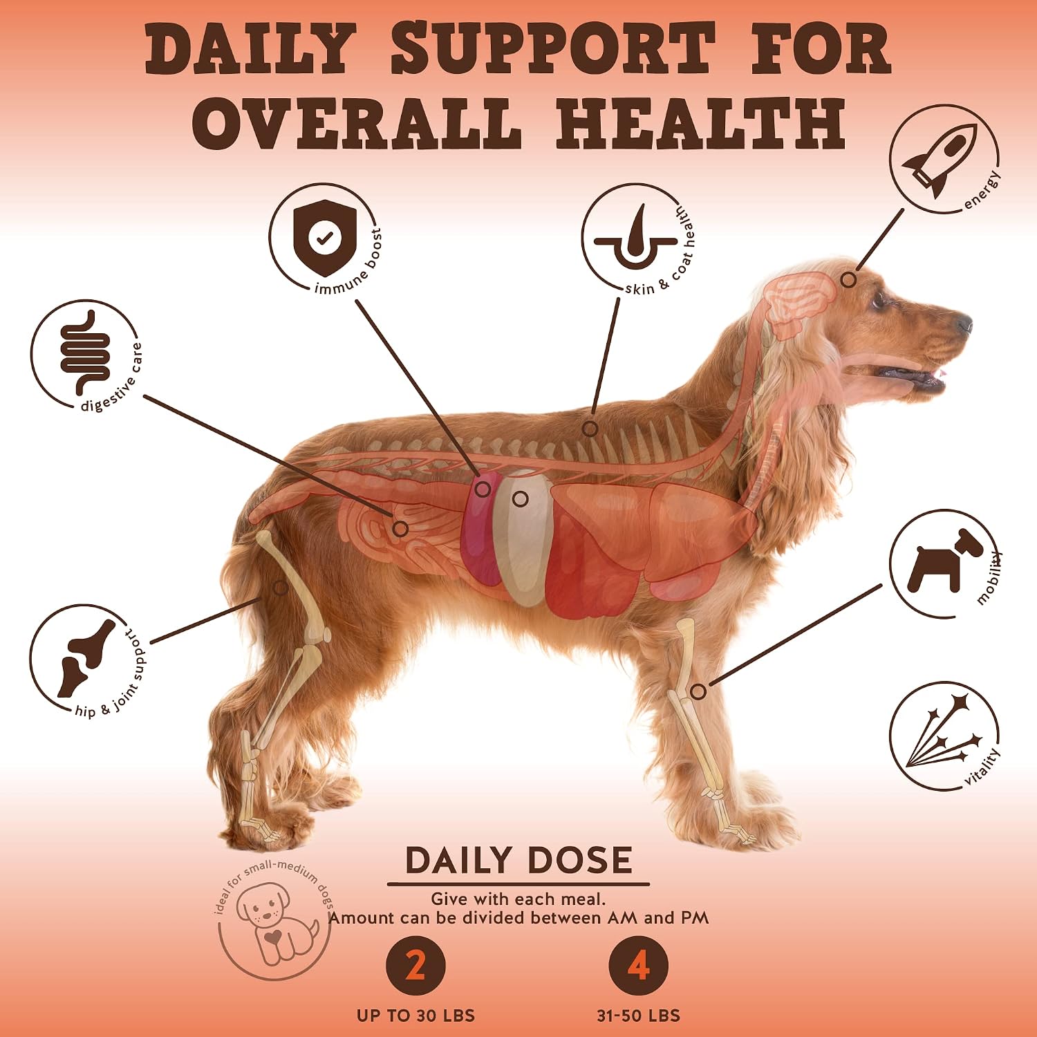 Jack&Pup Multivitamínico para Perros - Bark Buddies Multi-Buddy - Complemento masticable - 60 unidades