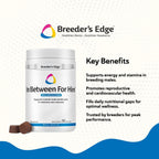 Breeder’s Edge in Between for Him – Multivitamínico diario para perros y gatos machos – 90 comprimidos