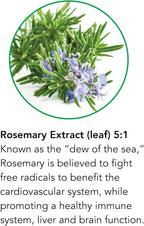 Botanic Choice Rosemary Leaf Liquid Extract, 1 Fluid Ounce
