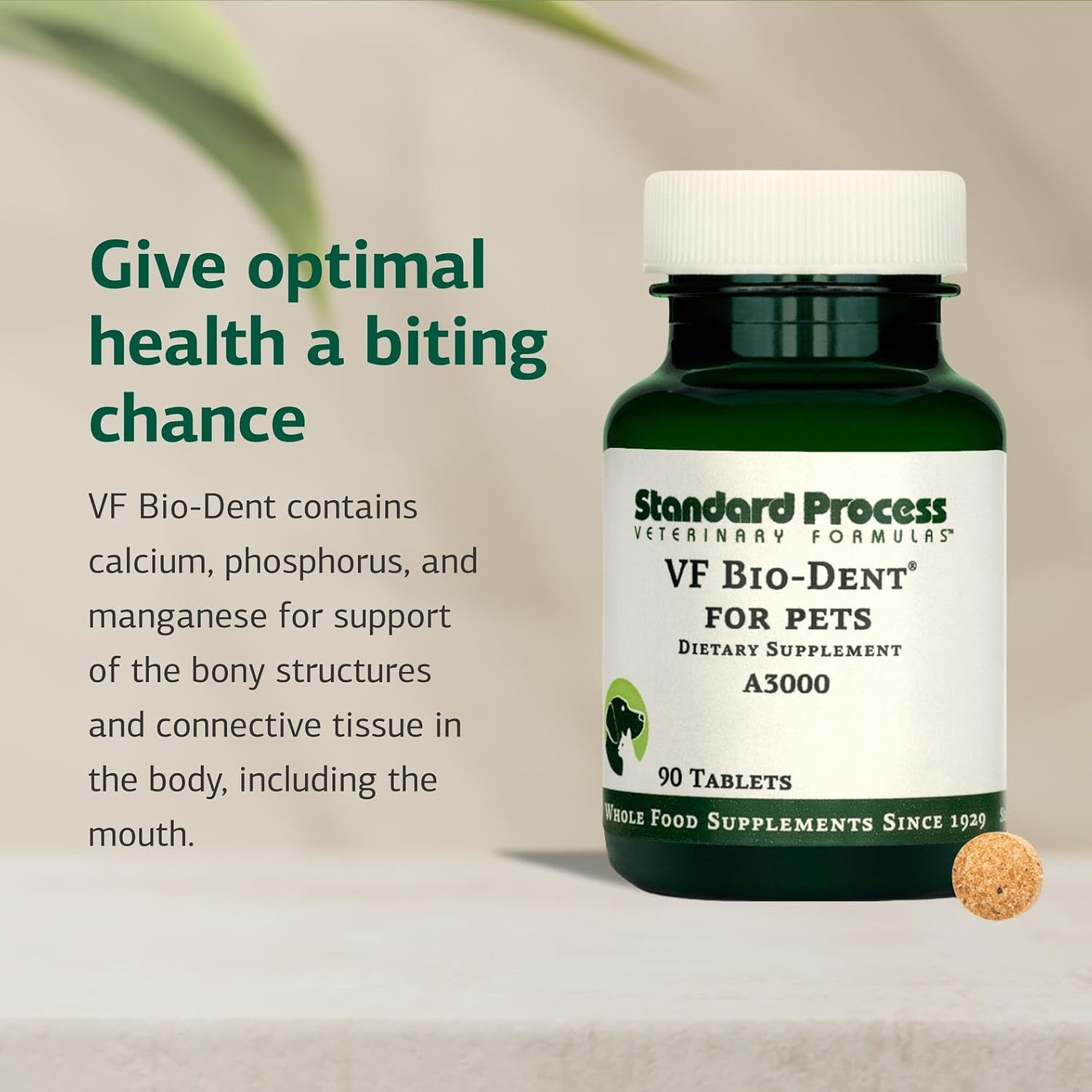Standard Process VF Bio-Dent for Pets - 90 Tablets