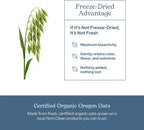 Eclectic Institute - Organic Avena Sativa Capsules | Nervous System Support | 90 Capsules of 375 mg