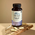 TERRA ORIGIN Healthy Gut con vitamina D 5000 UI | 60 cápsulas | Salud intestinal