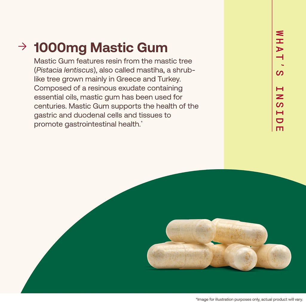 Jarrow Formulas Mastic Gum 1000 mg - 60 Cápsulas Vegetales