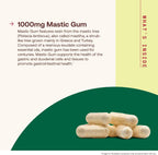 Jarrow Formulas Mastic Gum 1000 mg - 60 Cápsulas Vegetales
