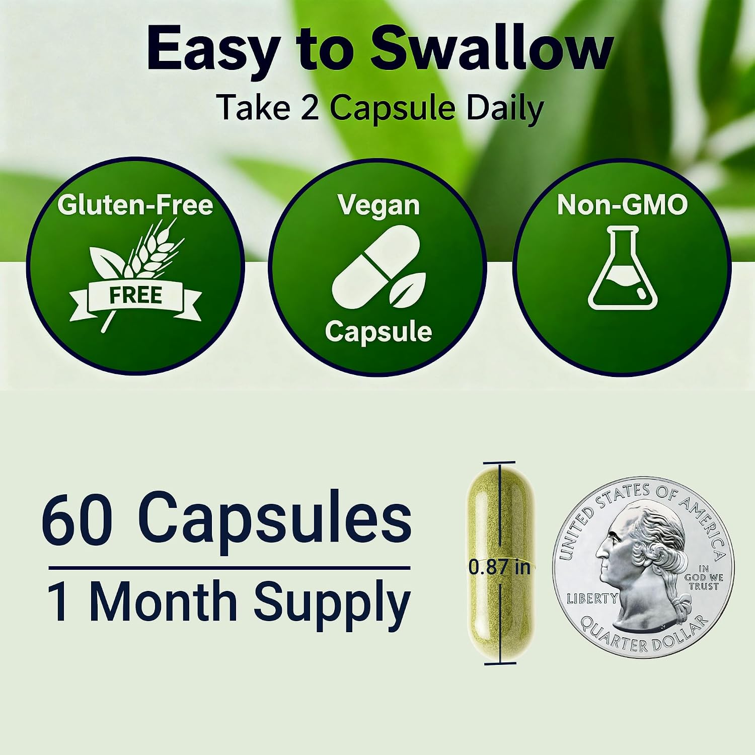 Sea Moss Black Seed Oil Ashwagandha Ginger - Cápsulas Avanzadas de Irish Sea Moss, Suplemento Todo en Uno con Seamoss, Black Seed Oil, Ashwagandha, Burdock Root, Bladderwrack
