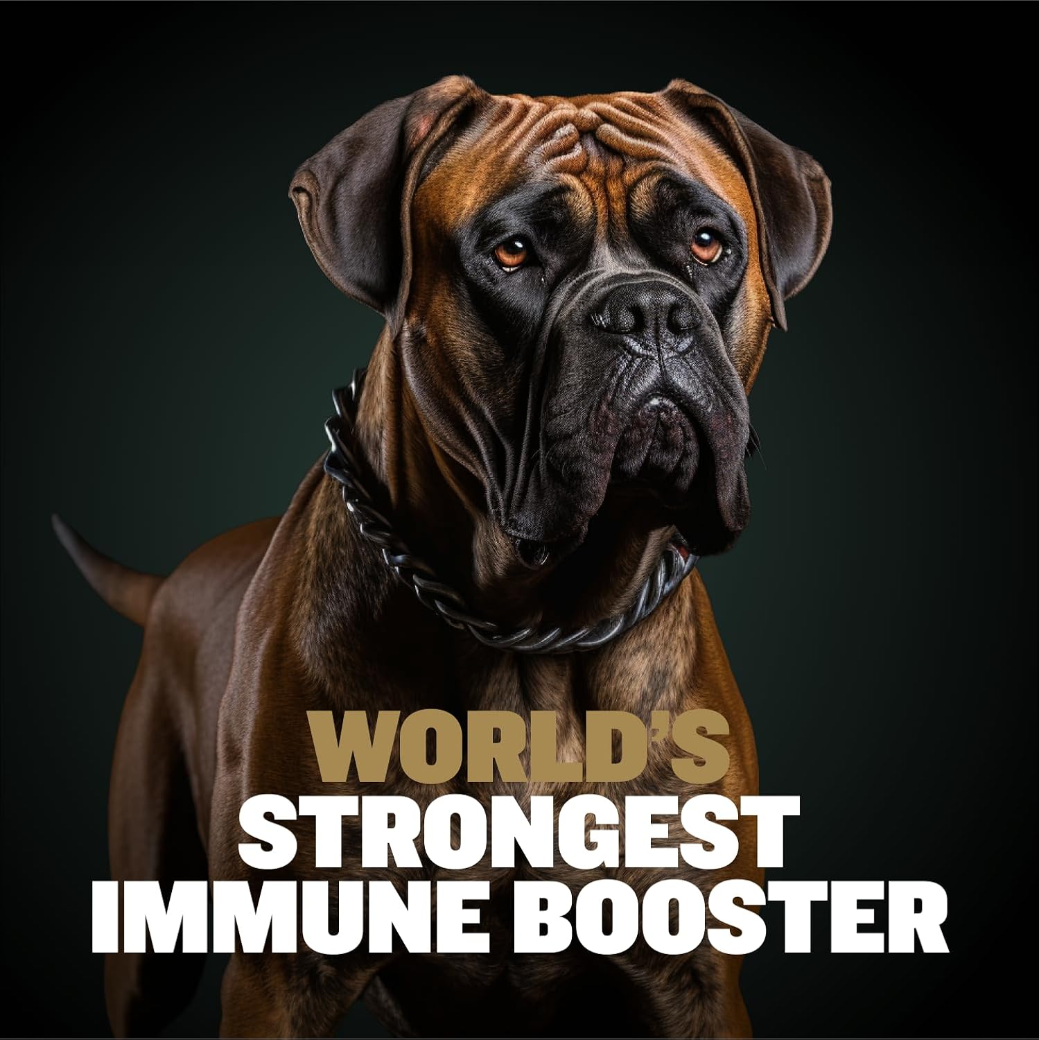 Bully Max 11-en-1 Power Chews para Perros - Suplemento de Aminoácidos y Proteínas, 75 Chews Blandos