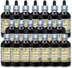 Hoodia (Hoodia Gordonii) Glicerito, Extracto Líquido sin Alcohol (Marca: HerbalTerra) 2x60 ml